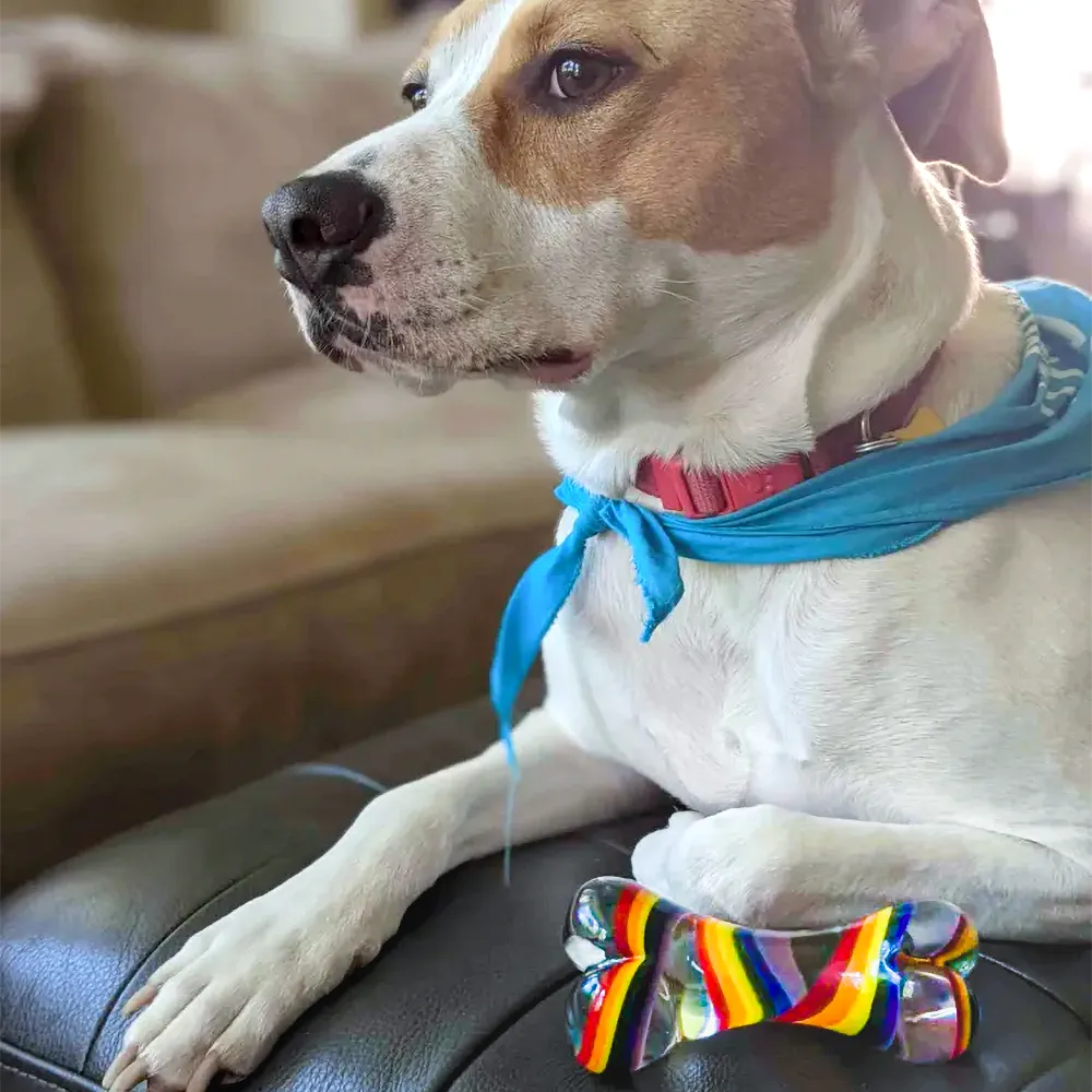 Dog Bone - Rainbow - Image 4