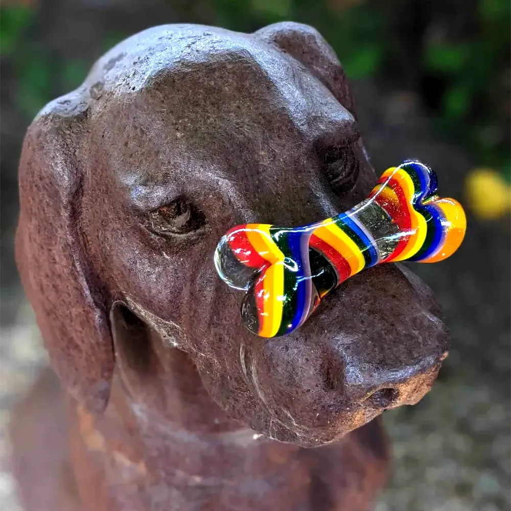 Dog Bone - Rainbow - Image 3