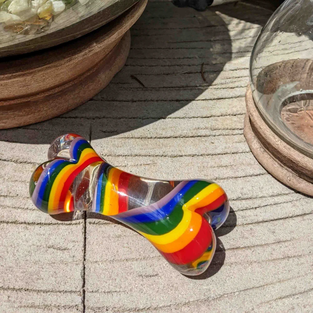 Dog Bone - Rainbow