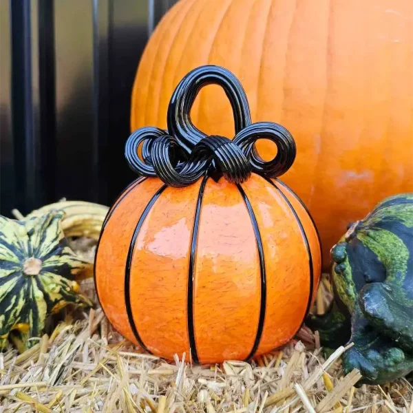 Fall Harvest Collection